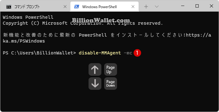 Windows PowerShellとコマンドプロンプトでコマンド履歴(Command History)を表示する