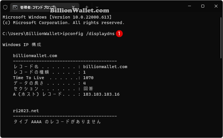 Windows 11 コマンドプロンプトからDNSキャッシュを削除する