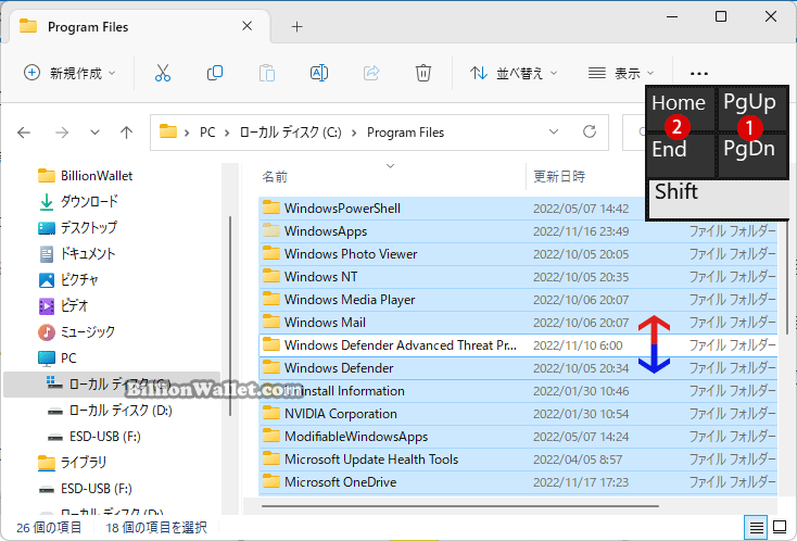 Windows 11のファイルエクスプローラーでアイテムを選択する方法